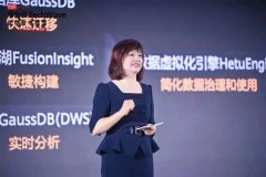 华为云正在工业、互联网、电商等范畴不中取合